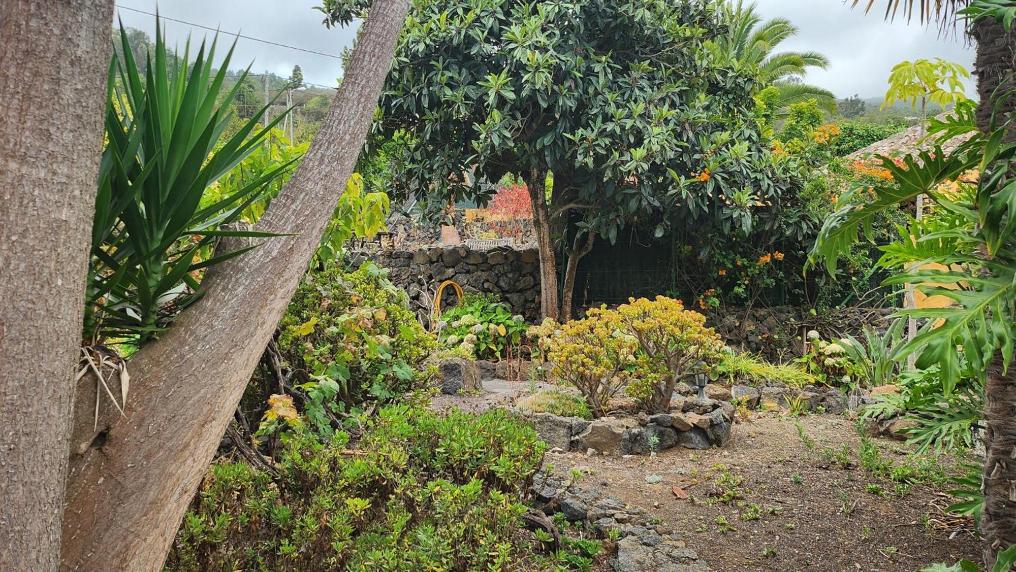 Oasis Hill Botanical Garden Villa Icod De Los Vinos Exterior foto
