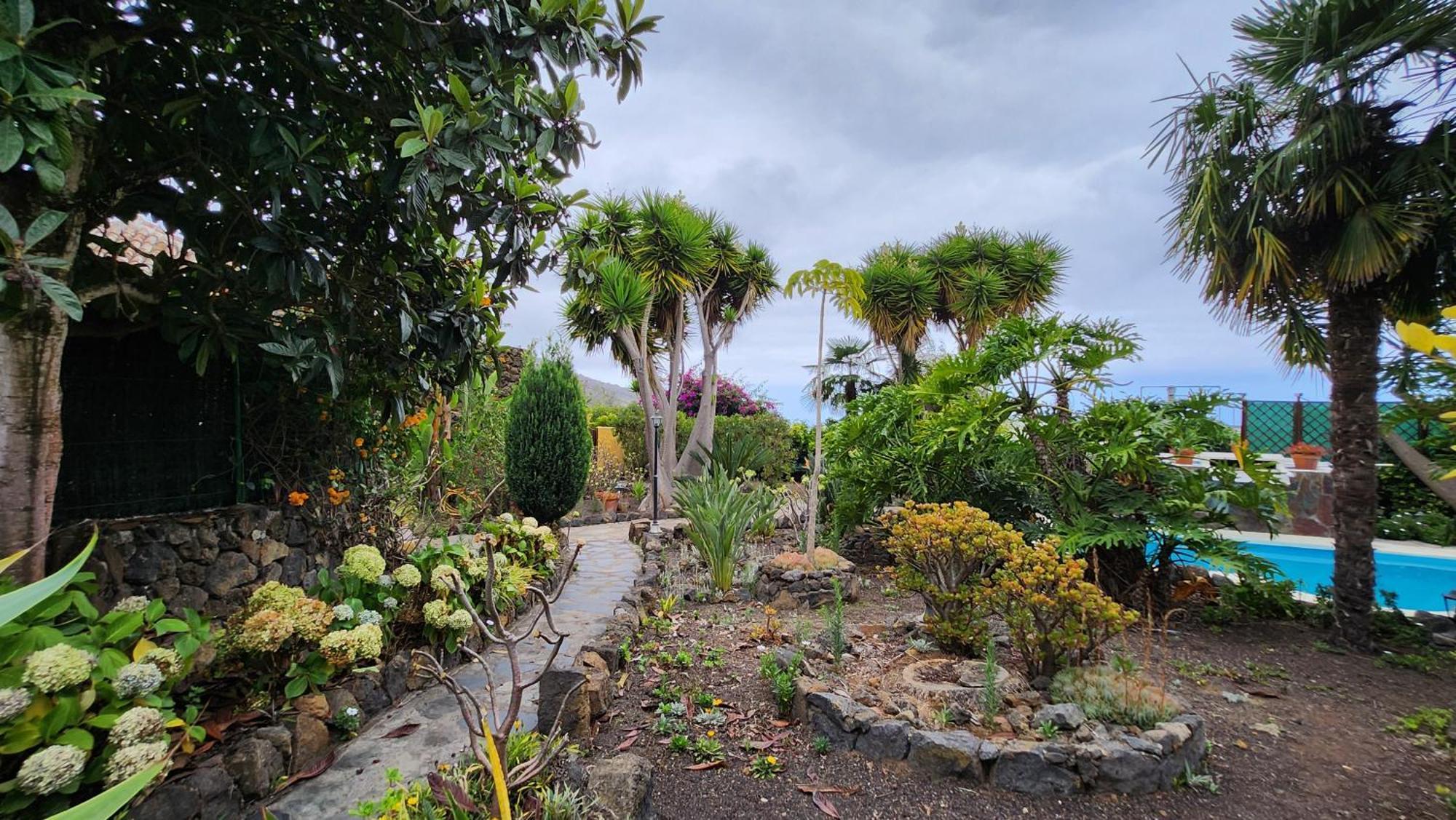 Oasis Hill Botanical Garden Villa Icod De Los Vinos Exterior foto