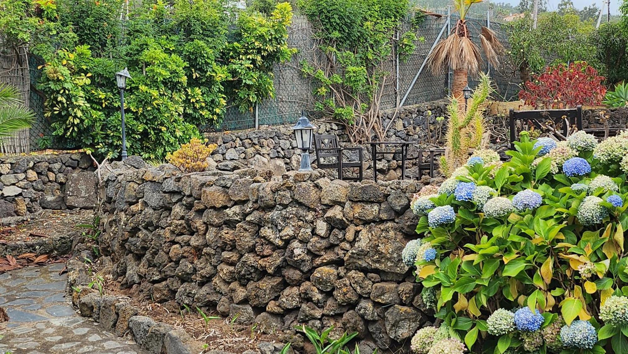 Oasis Hill Botanical Garden Villa Icod De Los Vinos Exterior foto